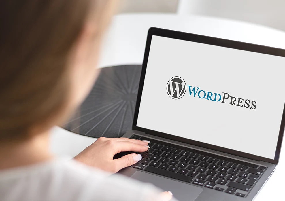 Solutions WordPress